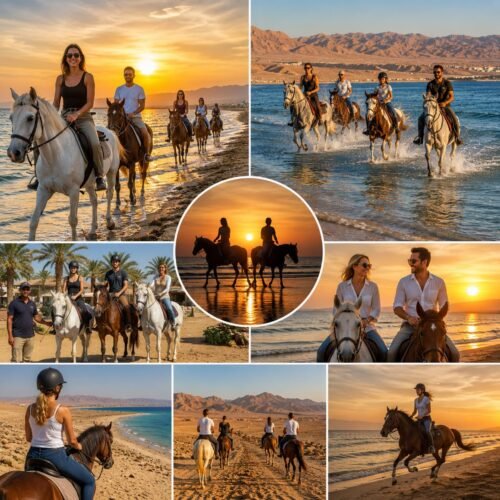 Horse Riding Along the Red Sea