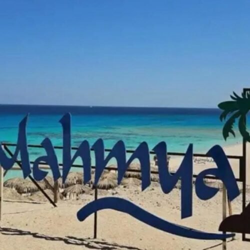 T Travel Egypt