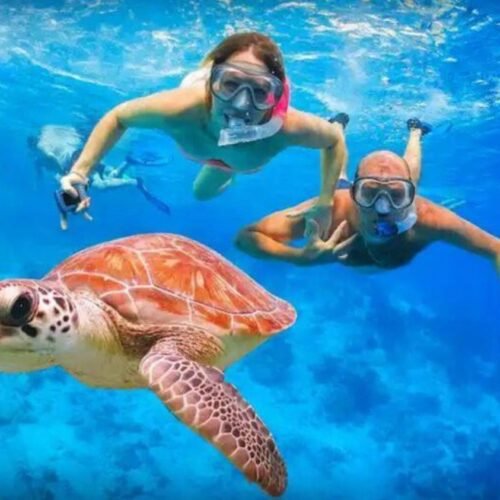 T Travel Egypt