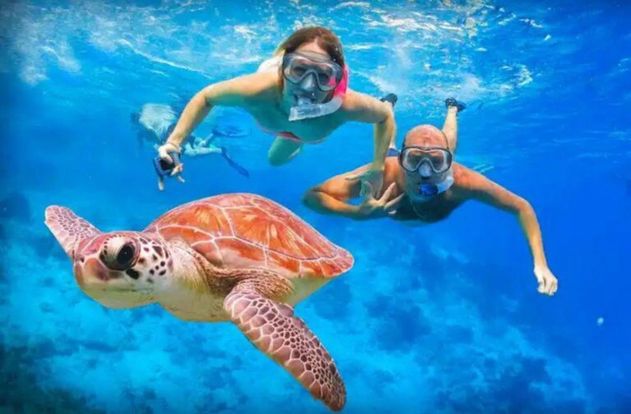T Travel Egypt