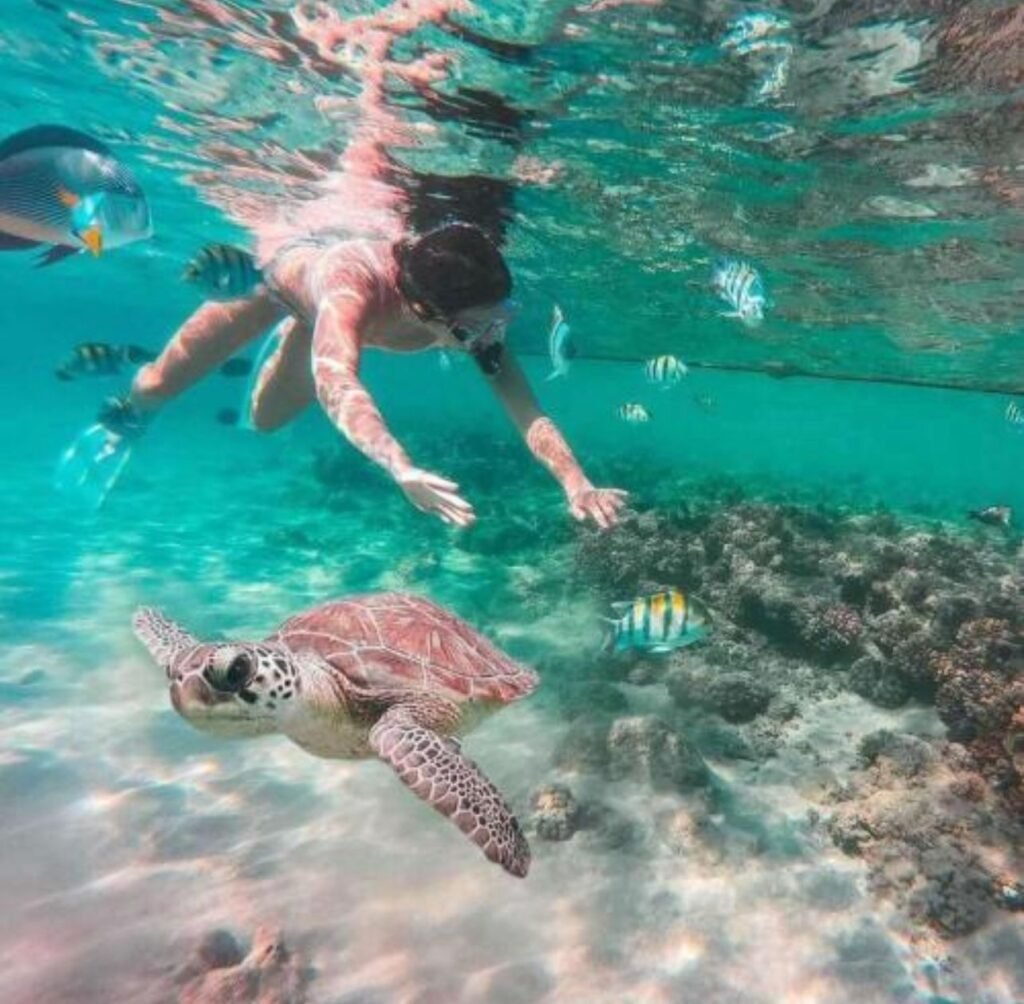 T Travel Egypt